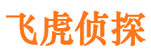 靖宇市私家侦探